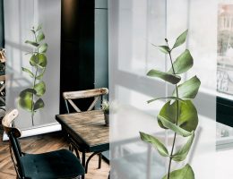 Spuckschutzwand Rollup eigenes Layout